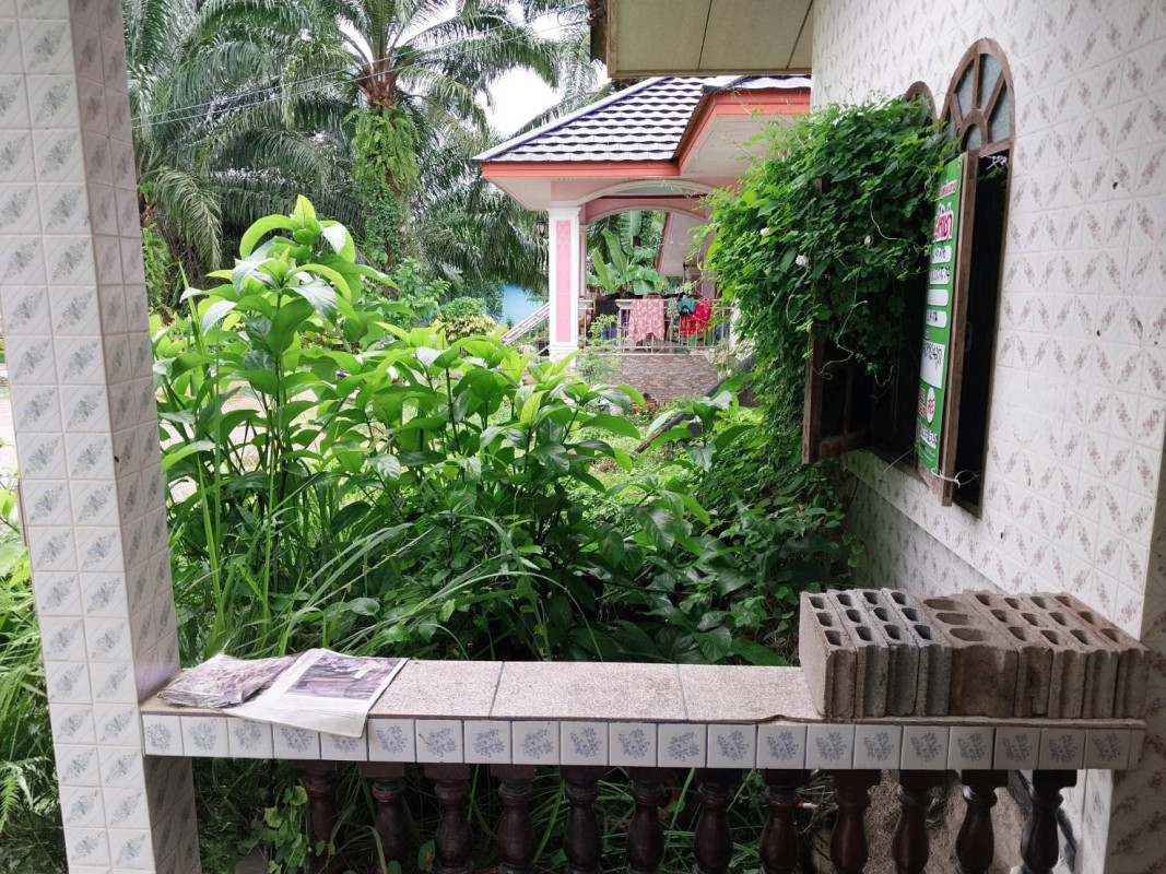 บ้านเดี่ยว พังงา ทับปุด บางเหรียง 2590000