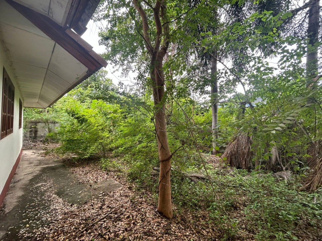 บ้านเดี่ยว บ้านเขาลอยเสือ นครสวรรค์ ตาคลี ตาคลี 3330000