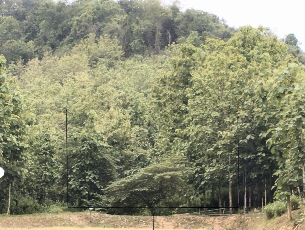 Residential land/lot Phrae Wang Chin Pa Sak 332104