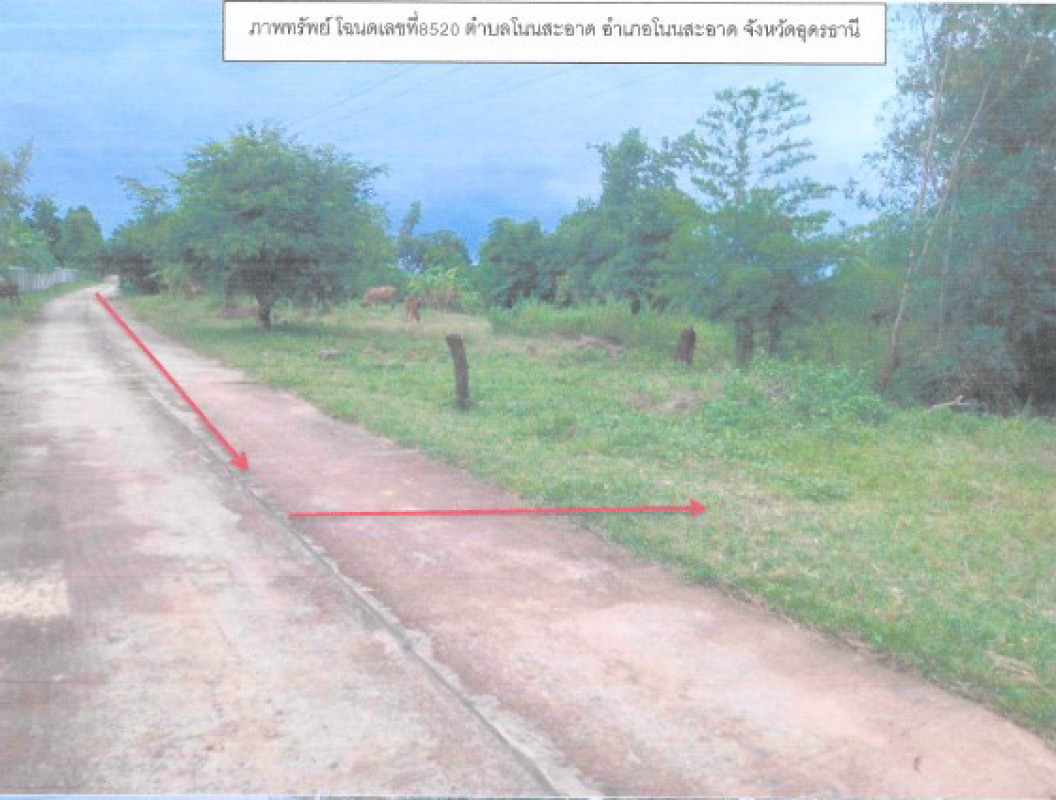 ที่ดินเปล่า อุดรธานี โนนสะอาด โนนสะอาด 243600
