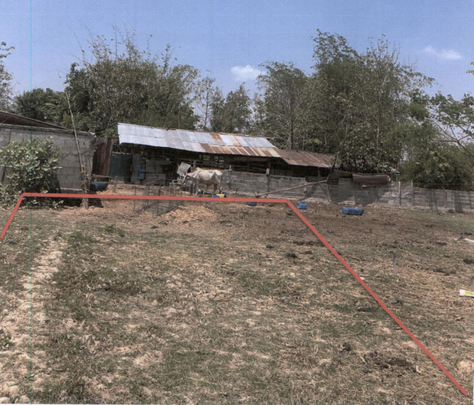 Residential land/lot Phrae Mueang Phrae Thung Kwao 328350