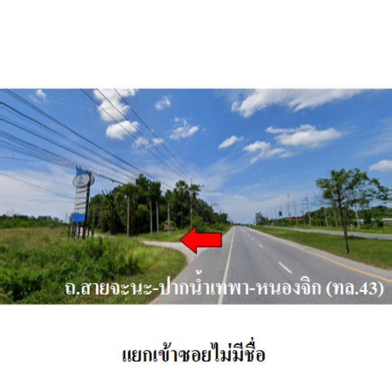 ที่ดินเปล่า สงขลา เทพา สะกอม 133000