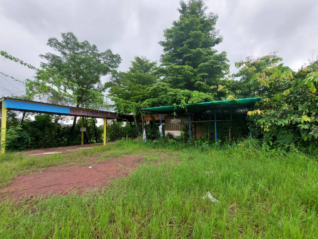 Single house Nong Khai Mueang Nong Khai Mueang Mi 1530000