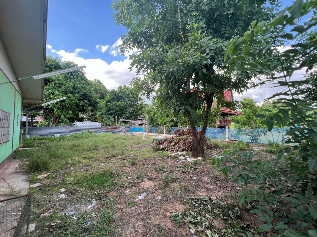 บ้านเดี่ยว บ้านตะปัน นครราชสีมา พิมาย รังกาใหญ่ 830000