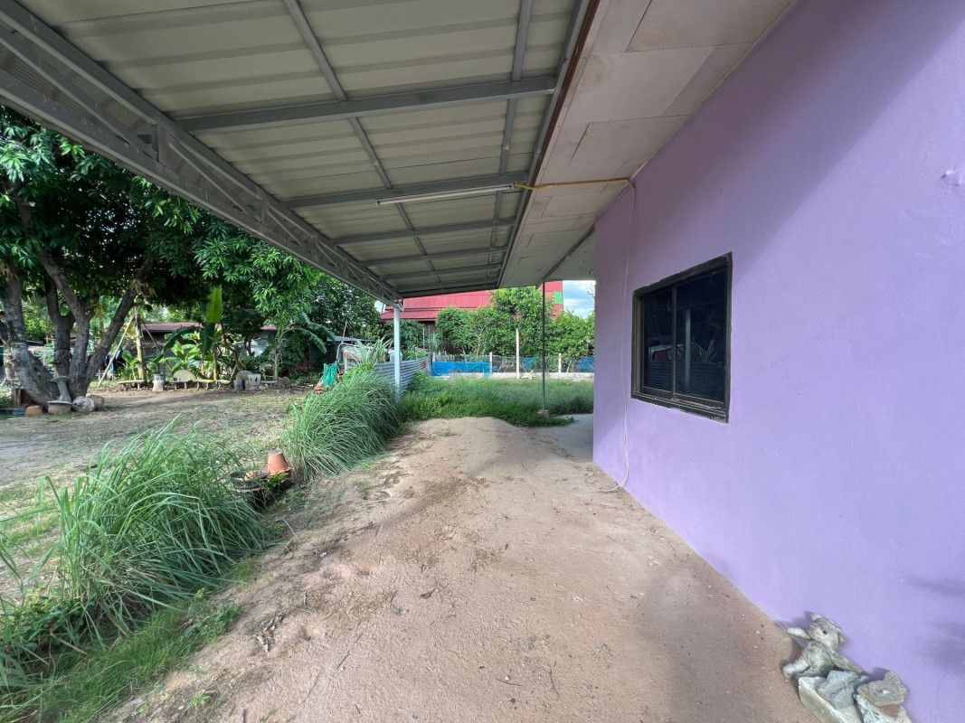 บ้านเดี่ยว บ้านตะปัน นครราชสีมา พิมาย รังกาใหญ่ 830000