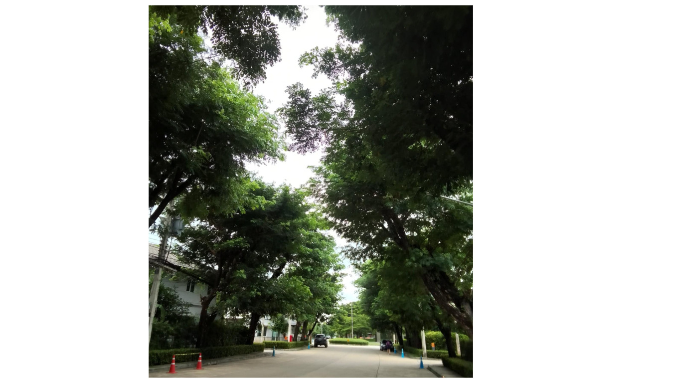 บ้านเดี่ยว อินนิซิโอ ขอนแก่น เมืองขอนแก่น บ้านทุ่ม 4390000
