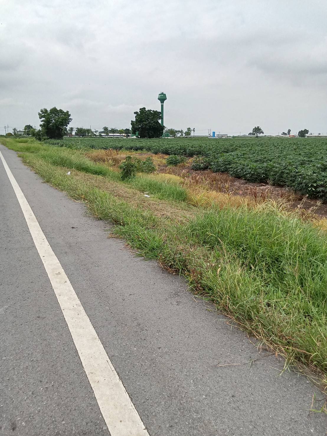 ที่ดินเปล่า ลพบุรี พัฒนานิคม พัฒนานิคม 6800000