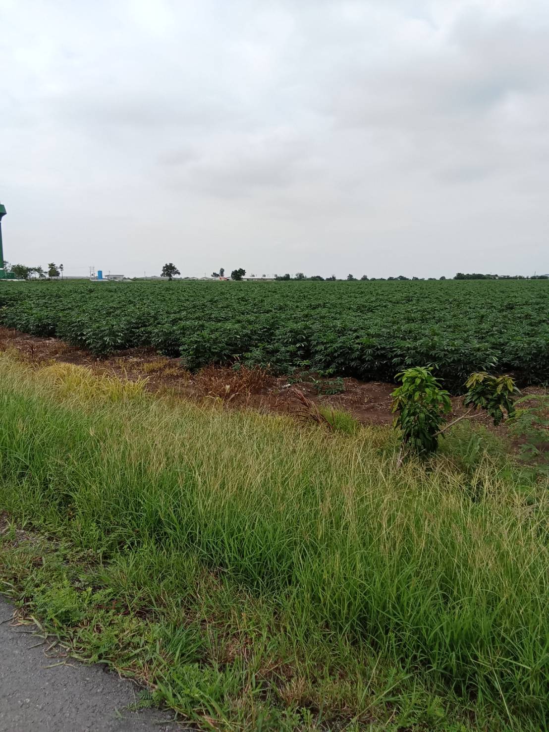 ที่ดินเปล่า ลพบุรี พัฒนานิคม พัฒนานิคม 6800000