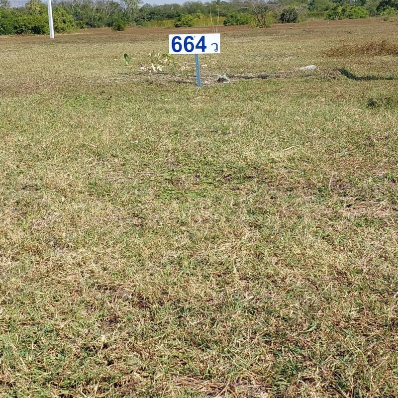 ที่ดินเปล่า ลพบุรี เมืองลพบุรี ป่าตาล 8000