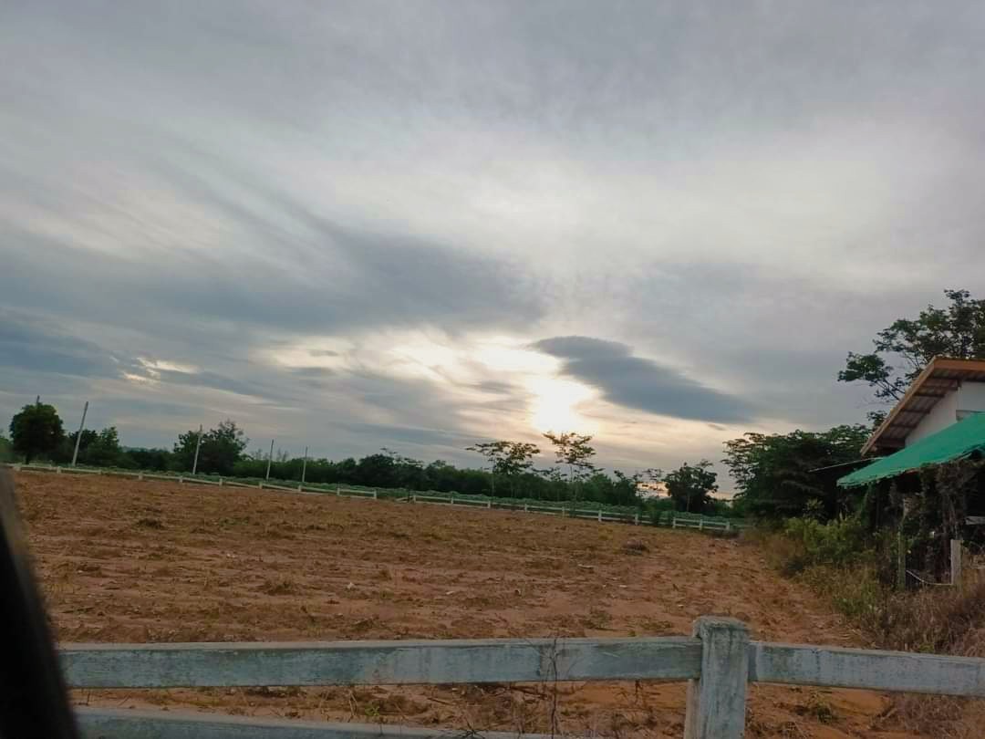 ที่ดินเปล่า วังไทร ฮิลไซด์ นครราชสีมา ปากช่อง วังไทร 4719000