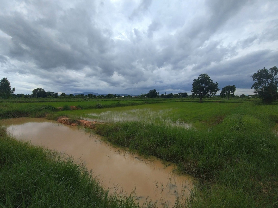 Residential land/lot Chaiyaphum Khon Sawan Khok Mang Ngoi 1500000