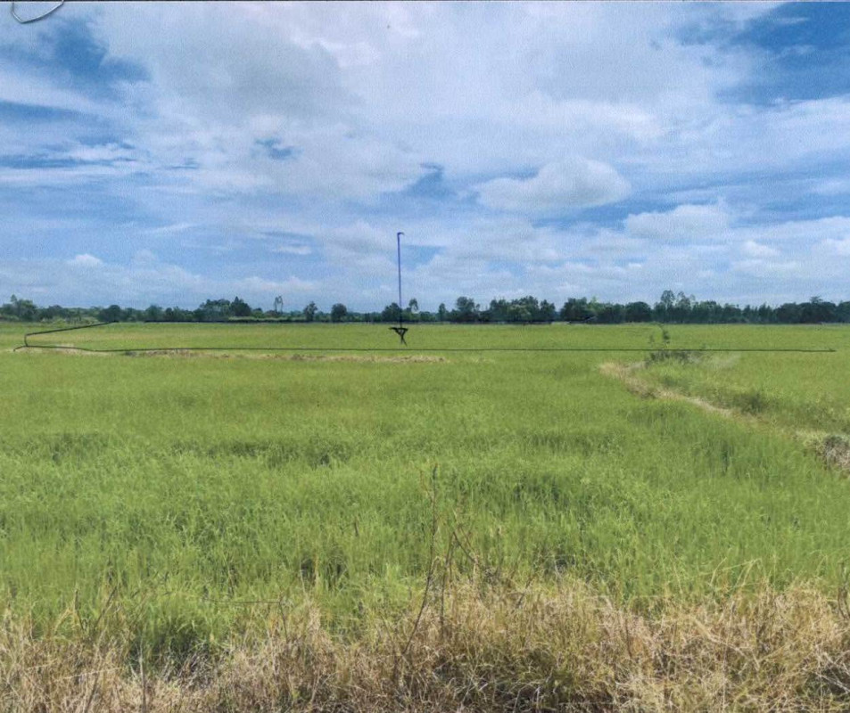 ที่ดินเปล่า เลย   134940