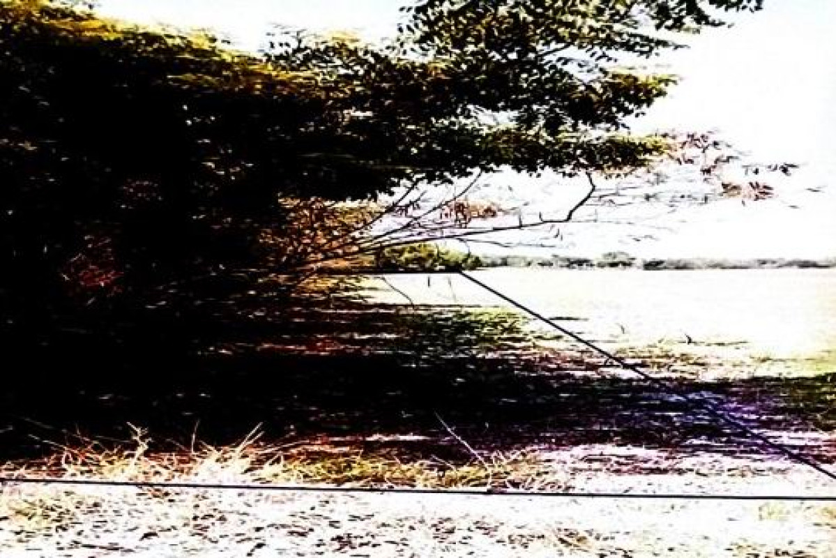 Residential land/lot Roi Et Mueang Roi Et Nuea Mueang 565000