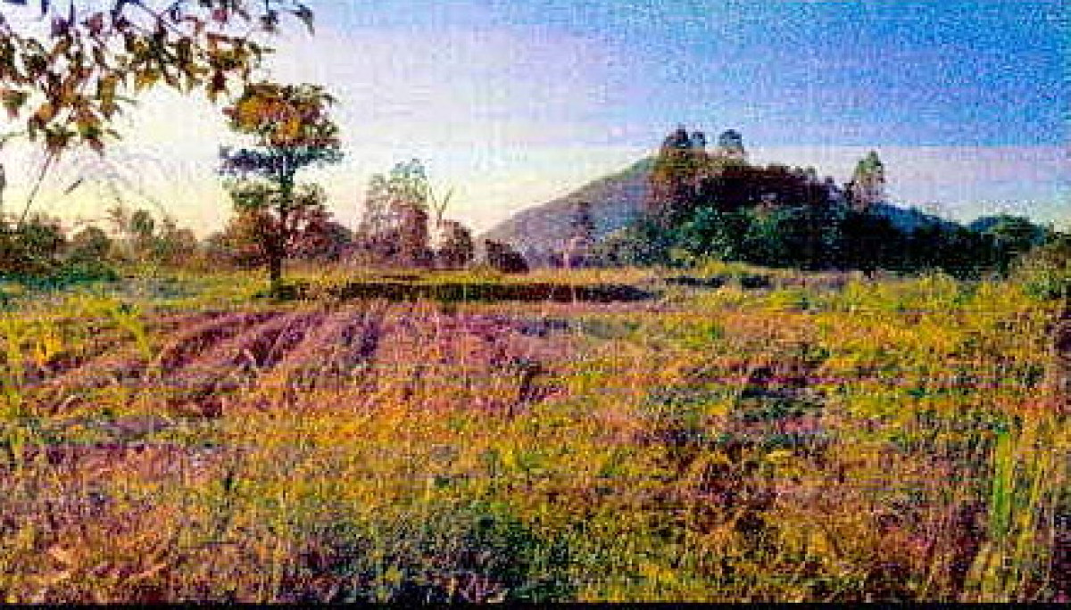 Residential land/lot Loei Chiang Khan Chom Si 468500