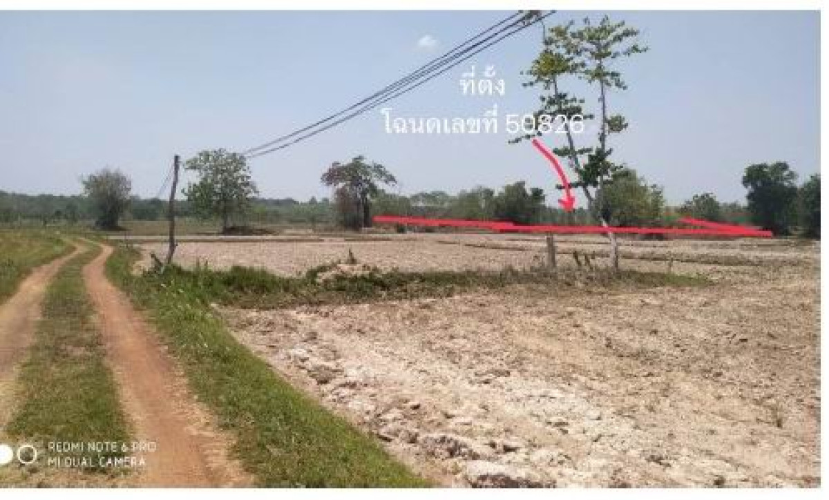 Residential land/lot Nakhon Phanom Mueang Nakhon Phanom Ban Klang 454233