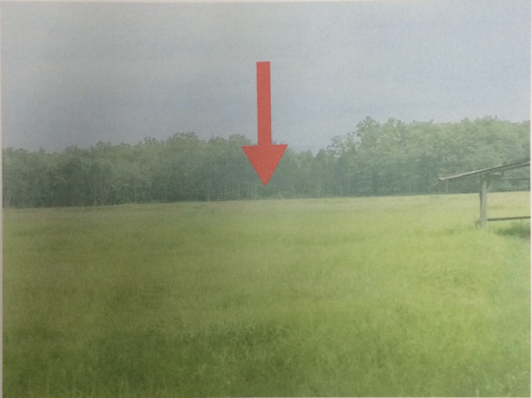 ที่ดินเปล่า ลำพูน เมืองลำพูน มะเขือแจ้ 231300
