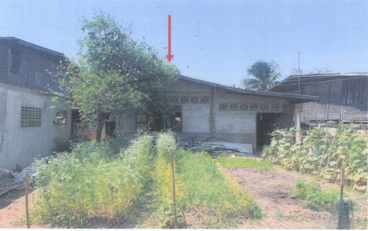 บ้านเดี่ยว นครราชสีมา ปักธงชัย ตะคุ 325500