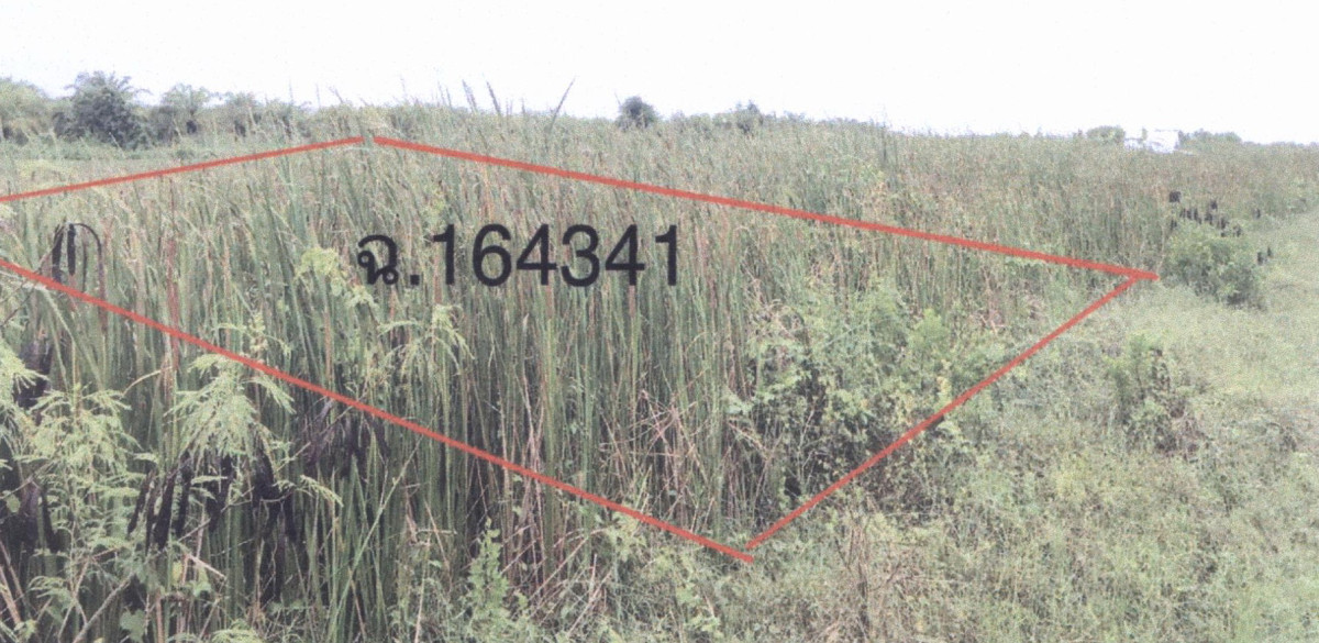 ที่ดินเปล่า    64600