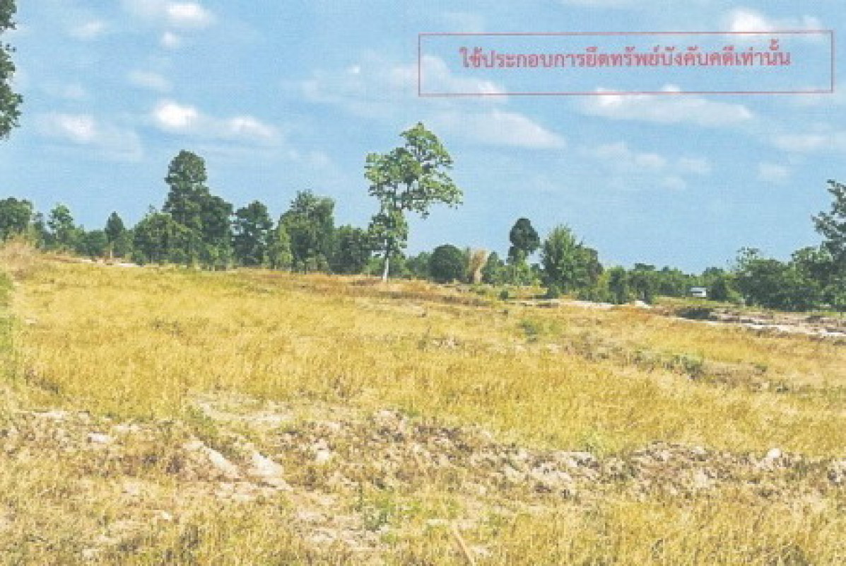 ที่ดินเปล่า กาฬสินธุ์ กุฉินารายณ์ บัวขาว 234000