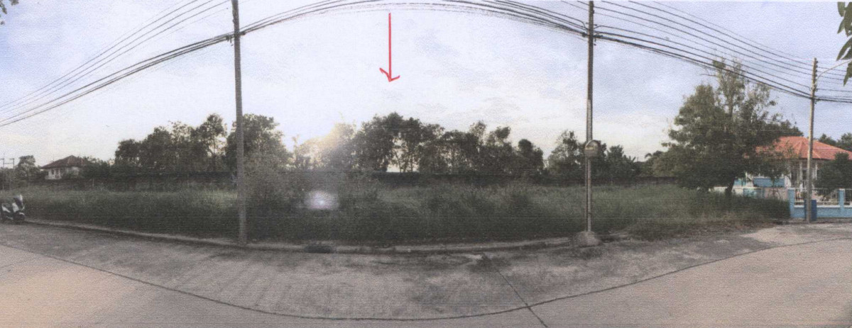 Residential land/lot Pathum Thani Sam Khok Thai Ko 1306650