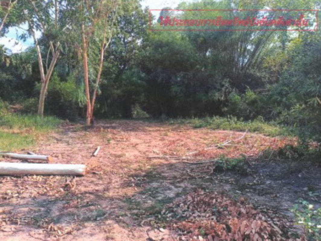 ที่ดินเปล่า กาฬสินธุ์ เมืองกาฬสินธุ์ นาจารย์ 12000