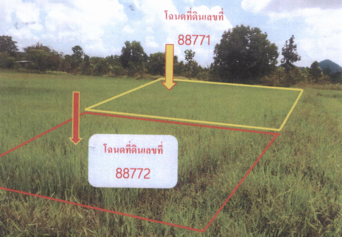 ที่ดินเปล่า พัทลุง เมืองพัทลุง เขาเจียก 65642