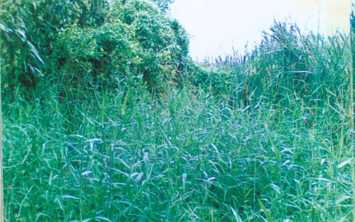 ที่ดินเปล่า ปทุมธานี ลาดหลุมแก้ว คูบางหลวง 374000