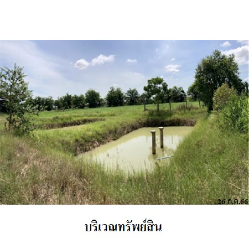 โรงงาน/โกดัง สุรินทร์ ชุมพลบุรี นาหนองไผ่ 15500000