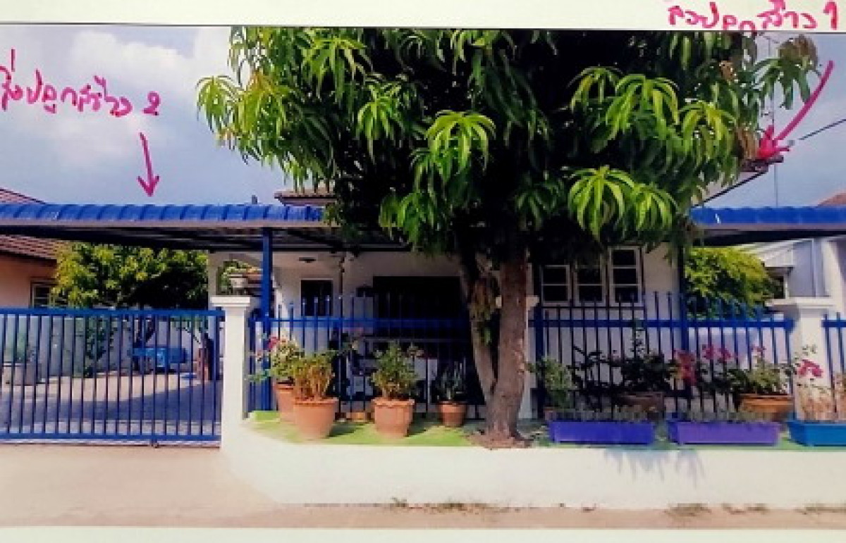 บ้านเดี่ยว พิษณุโลก วังทอง วังทอง 1061425