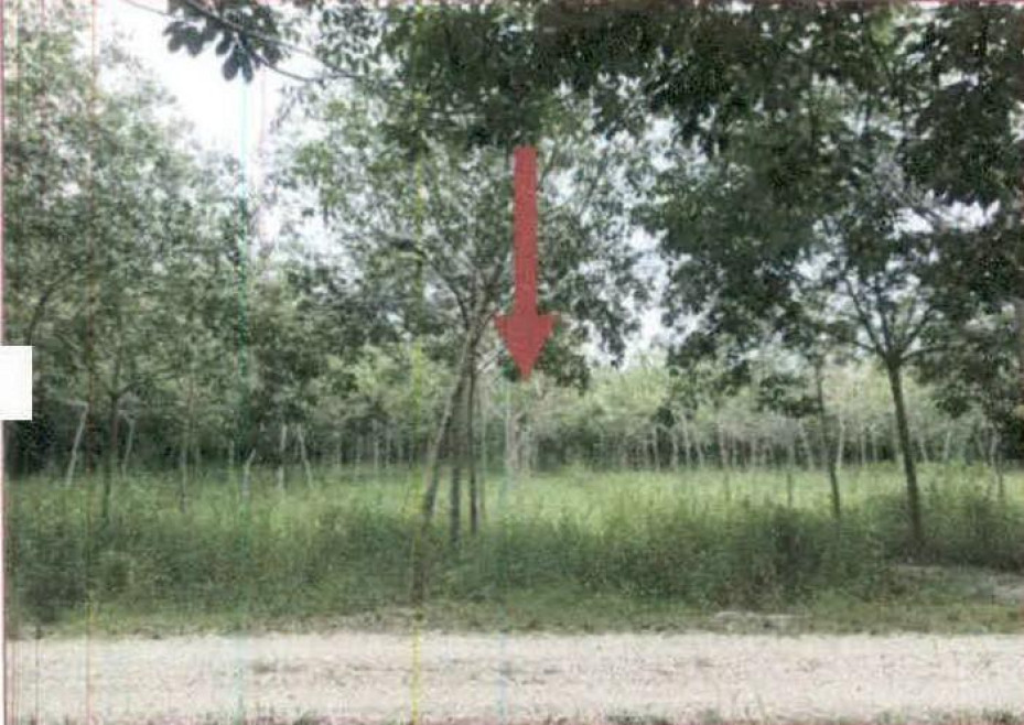 Residential land/lot Songkhla Chana Sa Kom 585000