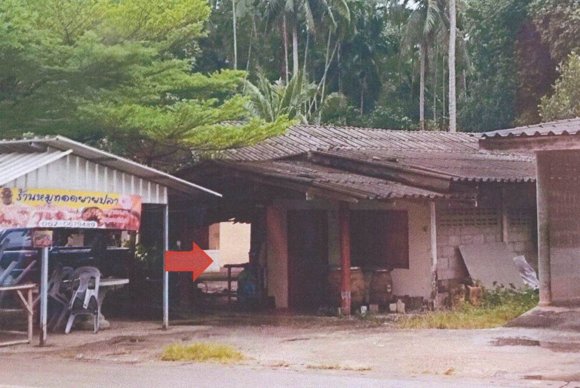 บ้านเดี่ยว ตรัง นาโยง นาหมื่นศรี 956629