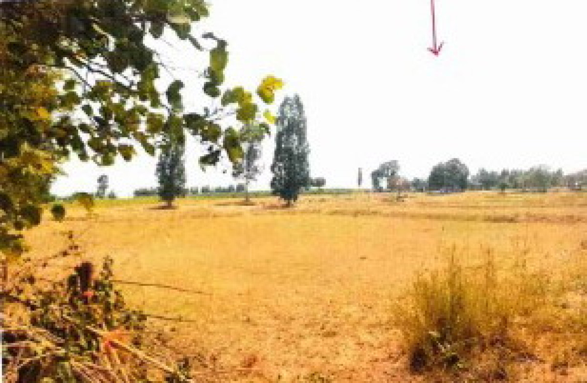 Residential land/lot Khon Kaen Ban Phai Pa Po 511160