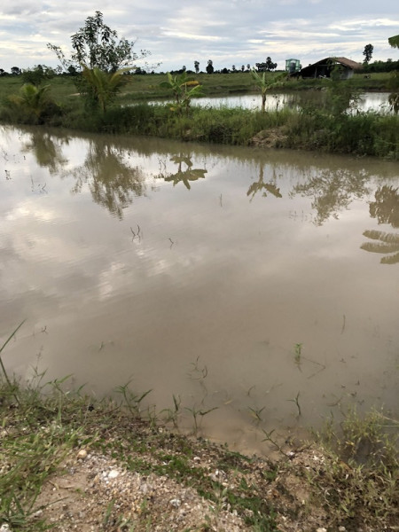 ที่ดินเปล่า กาญจนบุรี เลาขวัญ หนองประดู่ 3947250