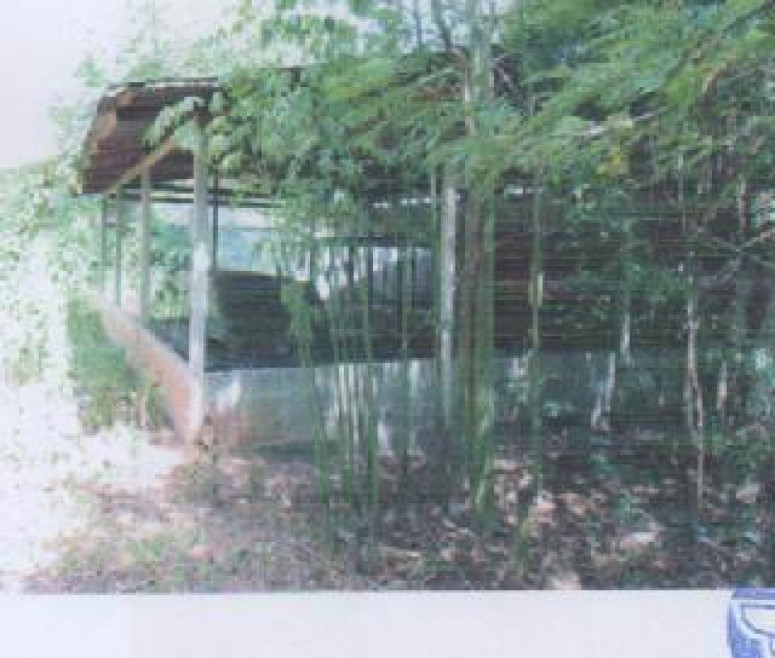 บ้านเดี่ยว คอนสาย อุบลราชธานี ตระการพืชผล คอนสาย 265000