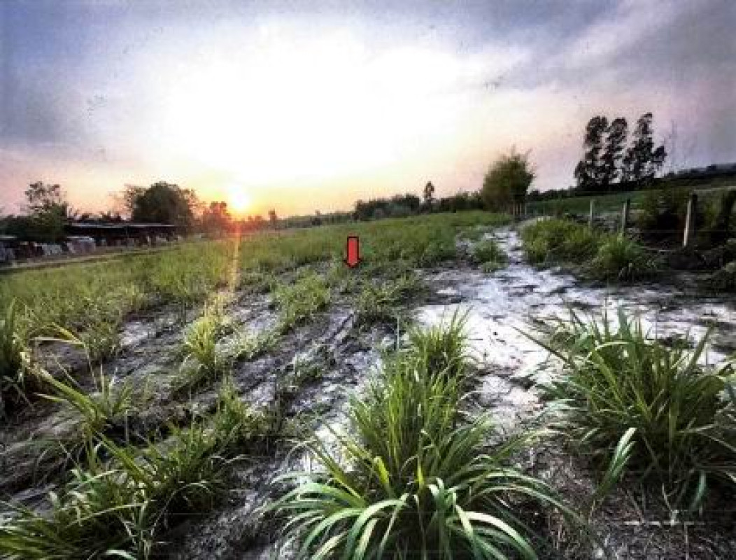 Residential land/lot Kalasin Nong Kung Si Dong Mun 1476000