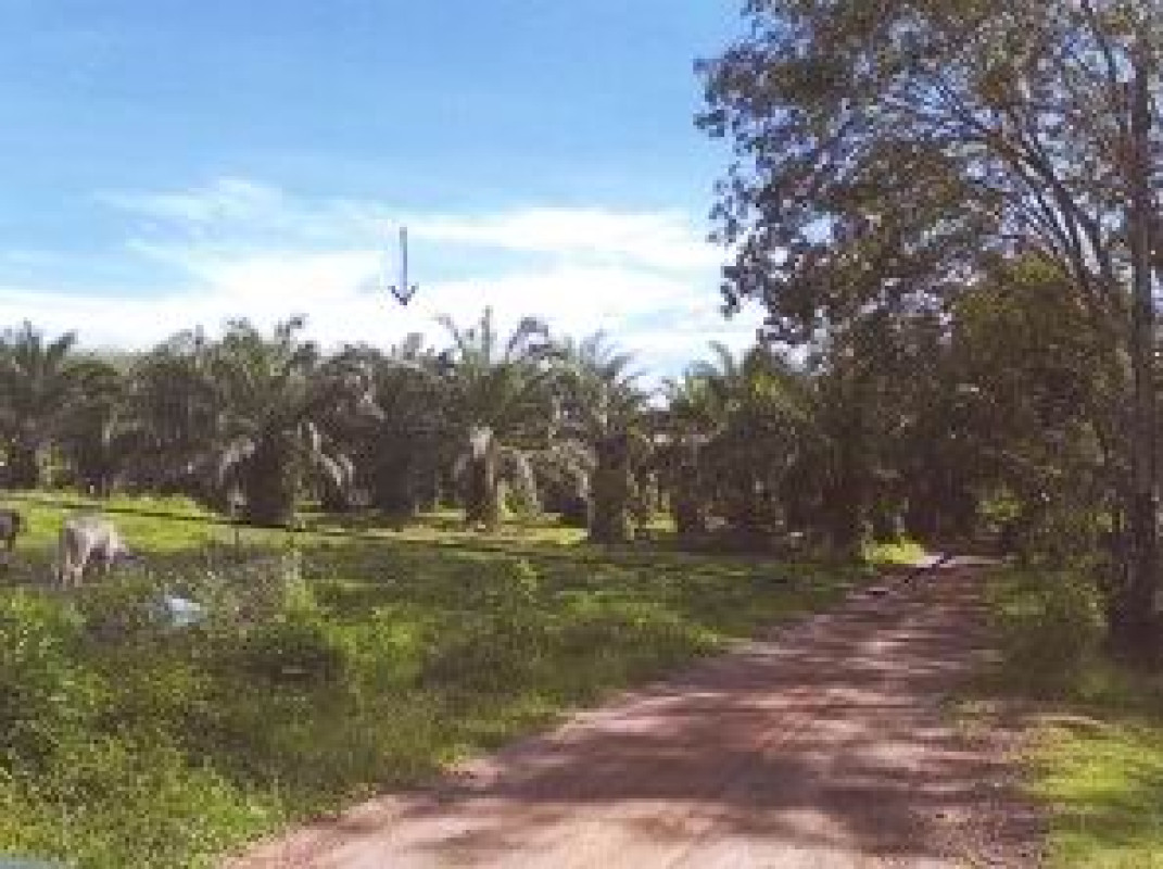 ที่ดินเปล่า ตรัง หาดสำราญ หาดสำราญ 143871