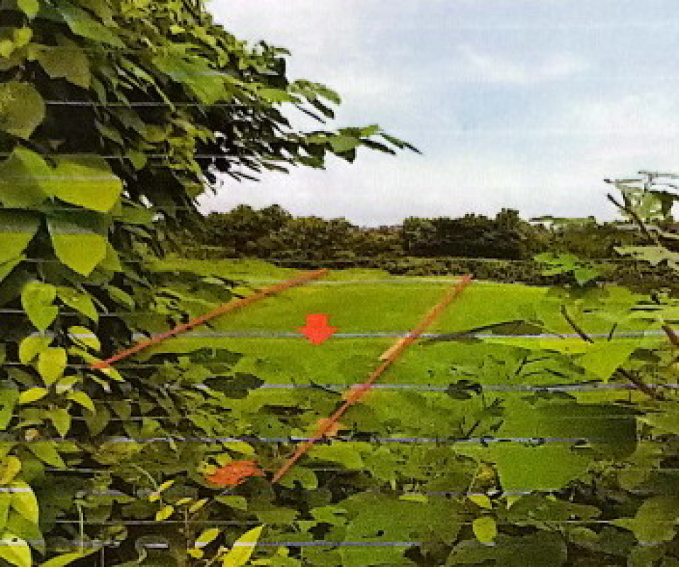 Residential land/lot Phayao Chiang Muan Chiang Muan 0
