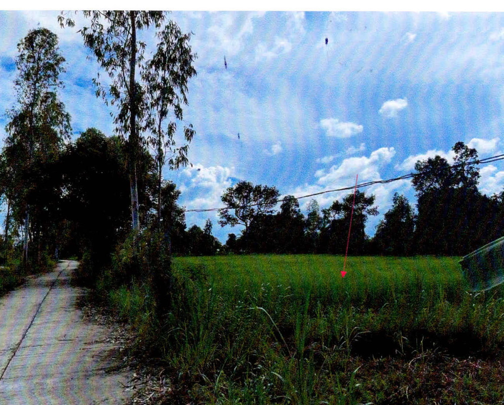 Residential land/lot Si Sa Ket Mueang Si Sa Ket Nong Hai 622463