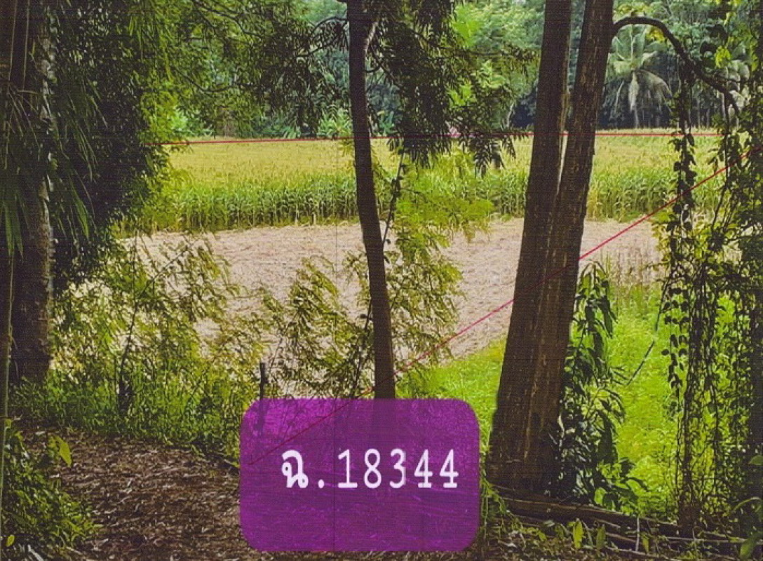 Residential land/lot Phayao Pong Oi 0