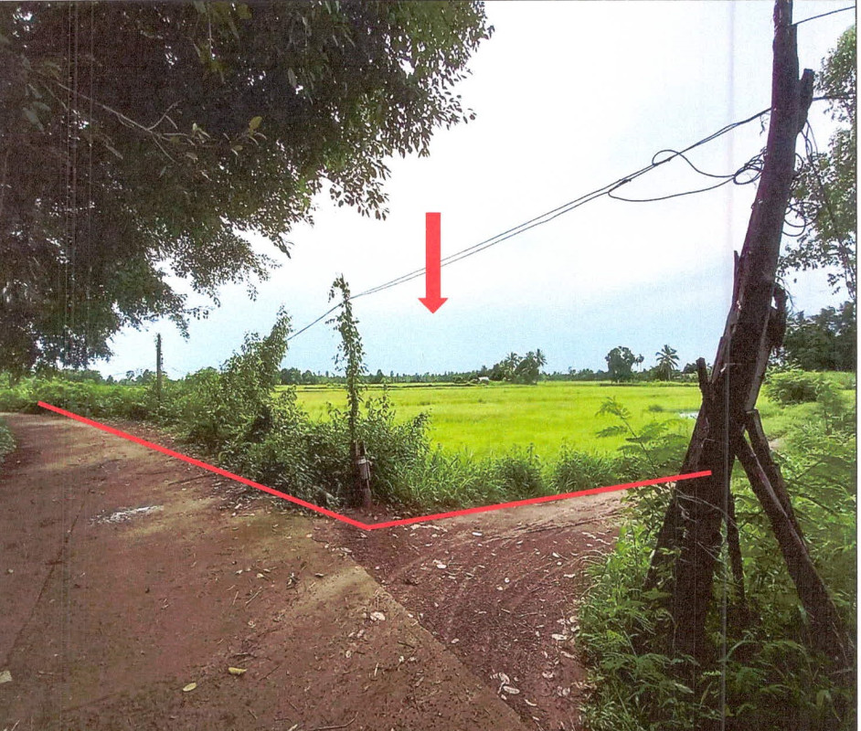 ที่ดินเปล่า ศรีสะเกษ น้ำเกลี้ยง เขิน 931668