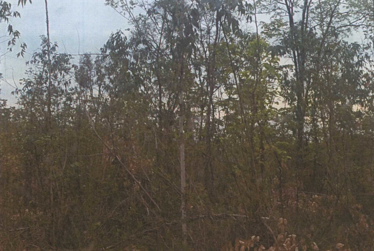 Residential land/lot Sakon Nakhon Sawang Daen Din Waeng 720640