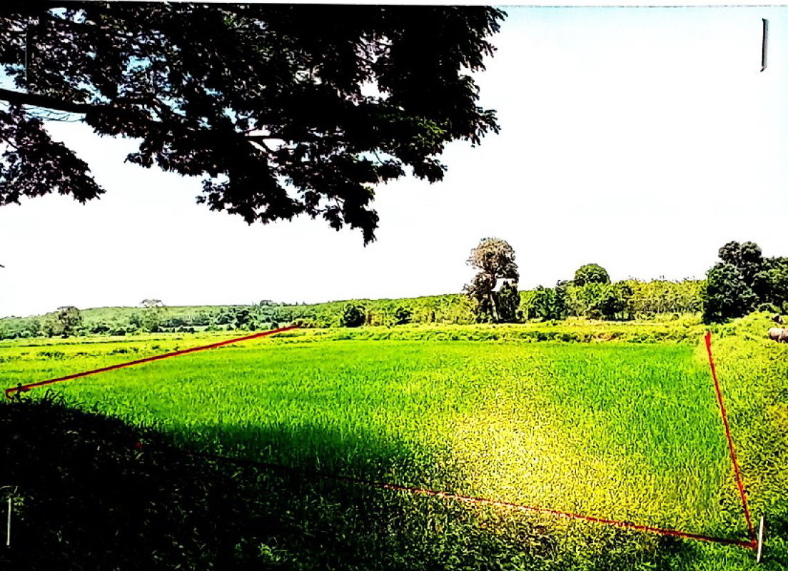 Residential land/lot Sakon Nakhon Phanna Nikhom Rai 106420