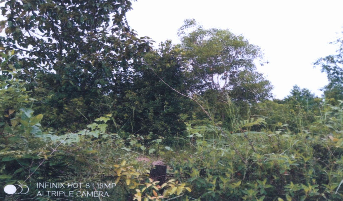 ที่ดินเปล่า อุบลราชธานี เมืองอุบลราชธานี ขามใหญ่ 852360