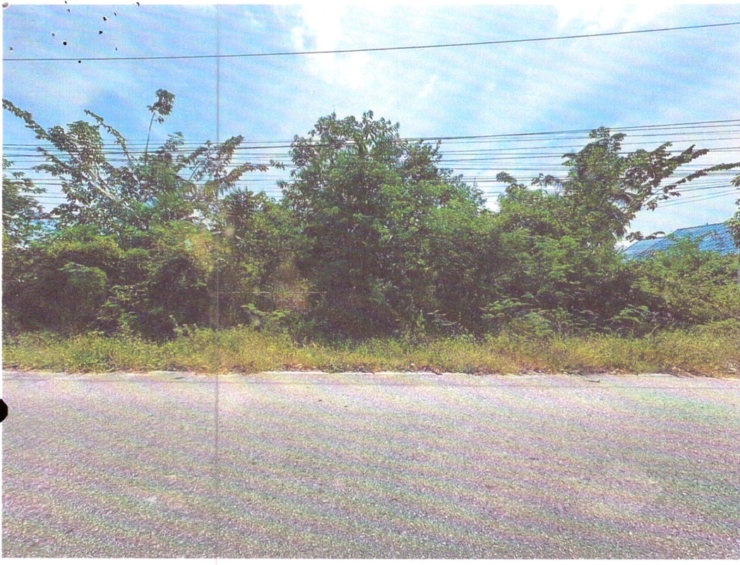 ที่ดินเปล่า สงขลา สิงหนคร ปากรอ 347400