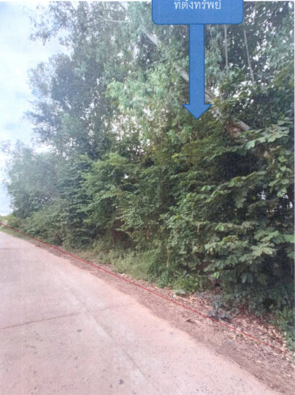 Residential land/lot Kalasin Kuchinarai Bua Khao 70000
