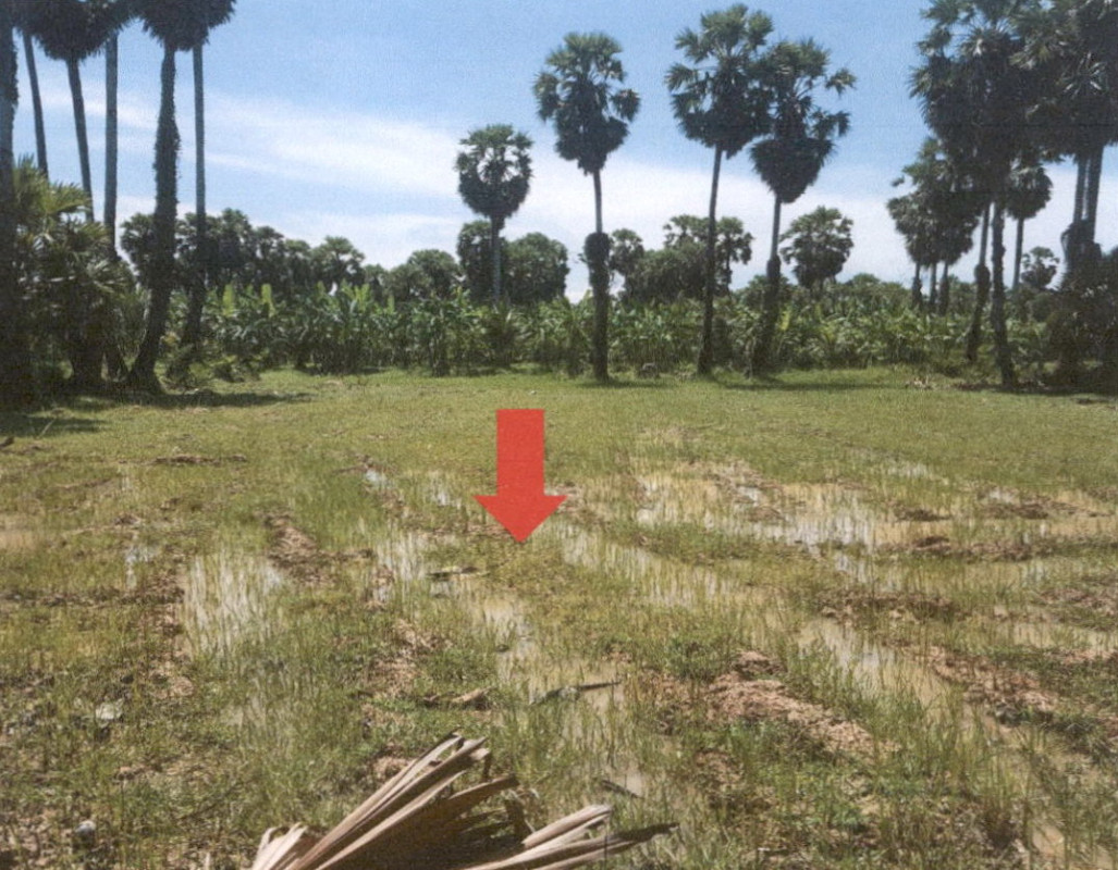 Residential land/lot Songkhla Singhanakhon Pa Khat 139200