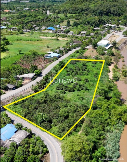 Residential land/lot Chiang Mai Doi Lo Doi Lo 6415000