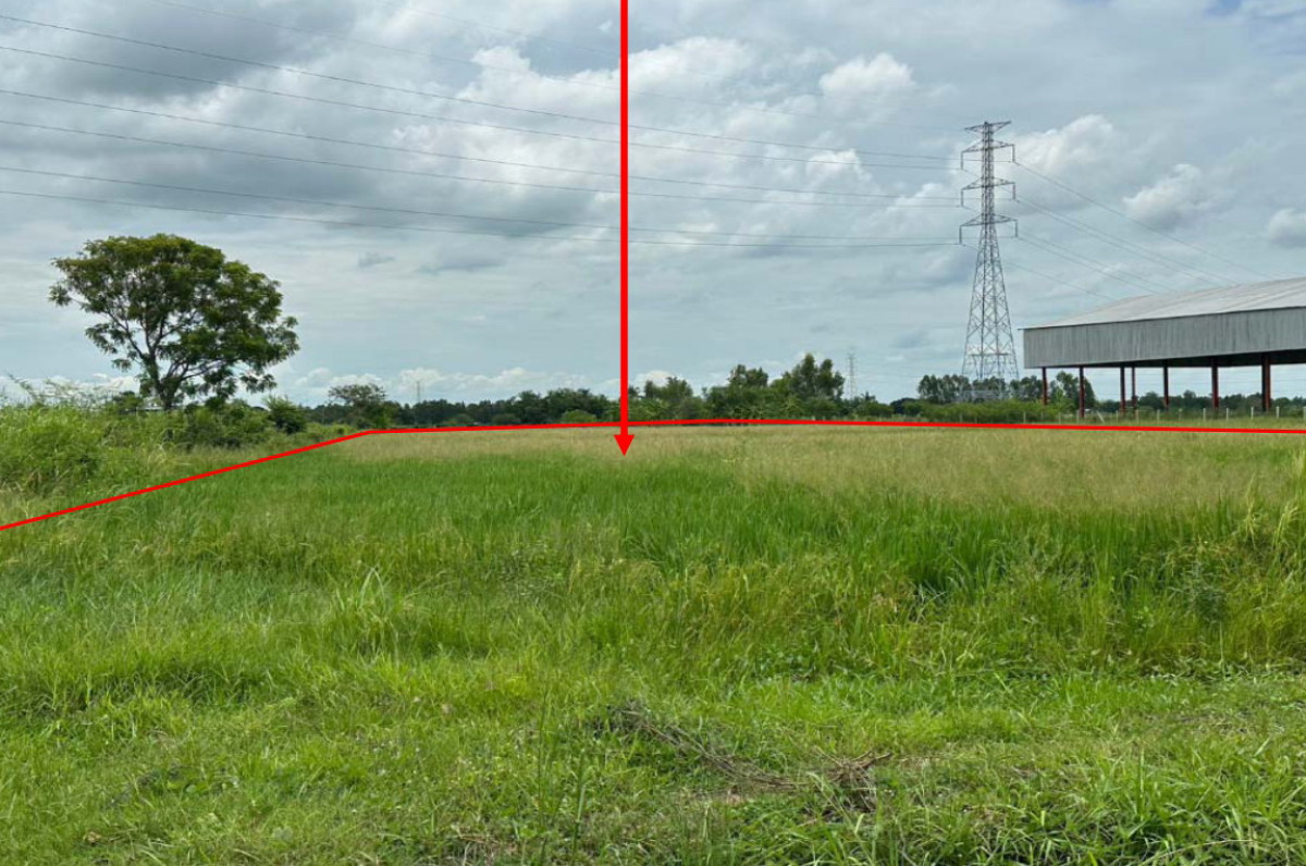 Residential land/lot Sing Buri Bang Rachan Sing 730135