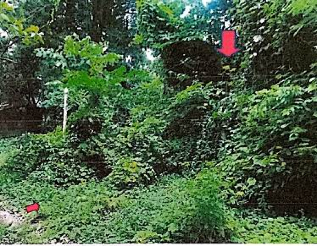 ที่ดินเปล่า ราชบุรี โพธาราม บ้านเลือก 112500