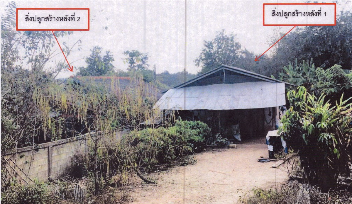 บ้านเดี่ยว พะเยา ปง ออย 442890